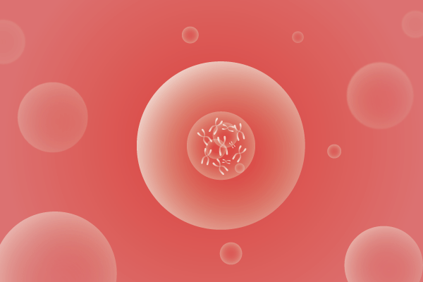 CNV,拷贝数变化遗传病、基因病、罕见病基因解码，基因检测，基因筛查与分子诊断