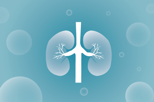 泌尿系统，肾脏，膀胱，尿病，肾不好遗传病、基因病、罕见病的基因解码，基因检测，基因筛查与分子诊断