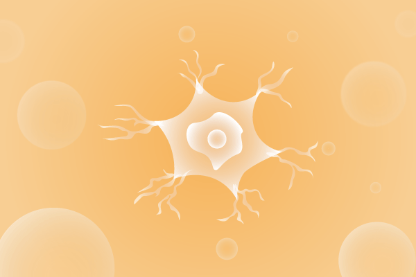 神经科肌肉系统及运动神经系统遗传病、基因病、罕见病的基因解码，基因检测，基因筛查与分子诊断