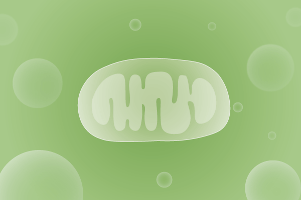 线粒体病、线粒体疾病遗传病、基因病、罕见病基因解码，基因检测，基因筛查与分子诊断
