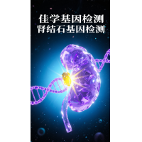 【Ebpay基因检测】胱氨酸结石及基因检测的作用