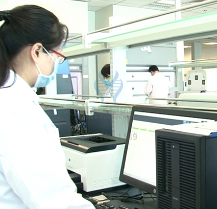 染色体疾病筛查DMD存在突变，如何理解？