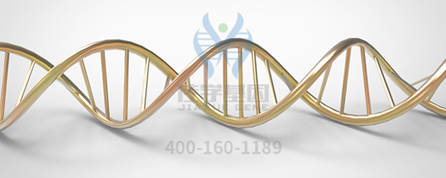 【Ebpay基因检测】关于流产的原因和如何预防？基因检测在哪里做？