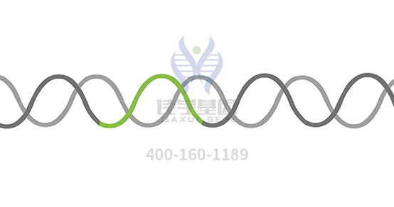 【Ebpay基因检测】多发性<font color='red'>骨髓</font>瘤（Multiple Myeloma）靶向药物使用前的基因检测